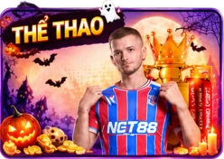NET88 the-thao